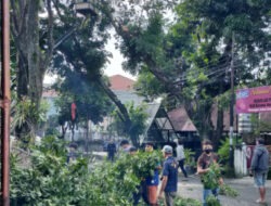 Ini Respon Cepat Kadis DLH Manado Tanggapi Keluhan Warga