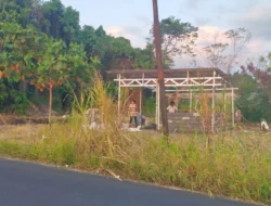 Dugaan Mafia Tanah “Bersarang” di BPN Manado, SHM Christina Lonas Tak Keluar