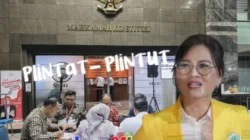 Akibat Plintat-Plintut Gugat ke MK, Cabup Mitra Djein Rende Terancam Kalah dan Dipidana