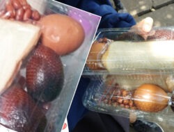 Menu MBG Anak SD dan SMP di Manado Sajikan Salak, Roti, Telur dan Kacang dan Nasi Kuning