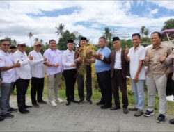 Panen 10 Ha Padi Unggulan PS-08, Bukti Nyata Revolusi Pertanian di Banten