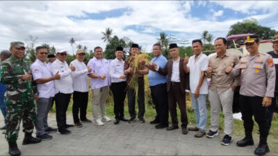 Panen 10 Ha Padi Unggulan PS-08, Bukti Nyata Revolusi Pertanian di Banten